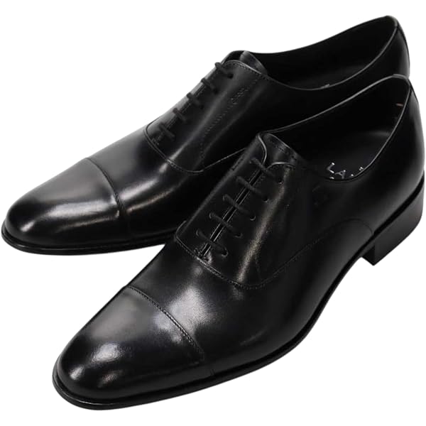 Amazon | ［ランバンコレクション］ LANVIN COLLECTION ホールカット